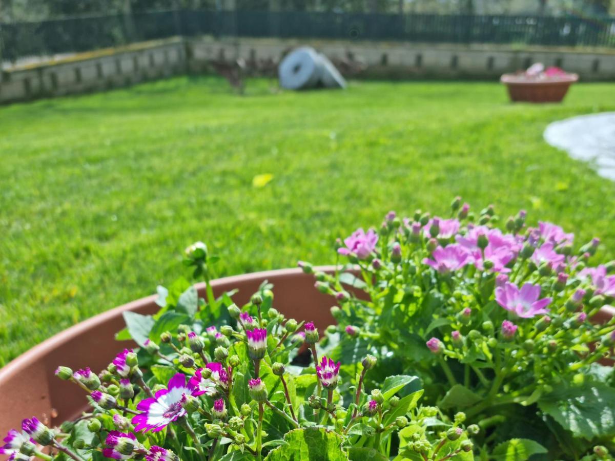 Il Casale Nel Parco Guesthouse ローマ エクステリア 写真